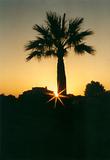 S Illot, Mallorca 2001