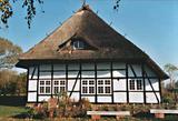 White thatched roof house