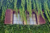 Doors & windows 2005